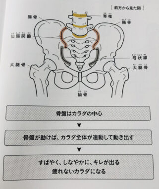 仙腸関節