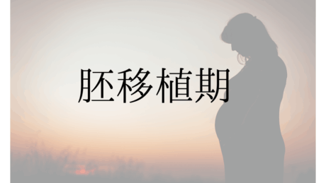 妊活奮闘記④胚移植