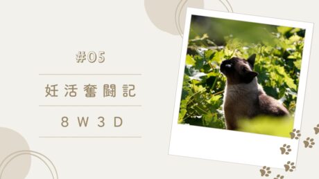 妊活奮闘記⑤8w3d